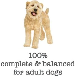 Purina Beneful Medleys Romana Style Canned Dog Food -Cozy Paws 100121 PT6. AC SS1800 V1700160563