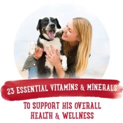 Purina Beneful Prepared Meals Beef & Chicken Medley With Green Beans, Carrots & Wild Rice Wet Dog Food -Cozy Paws 100163 PT7. AC SS1800 V1699367751