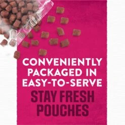 Moist & Meaty Steak Flavor Dry Dog Food -Cozy Paws 100208 PT5. AC SS1800 V1700159511