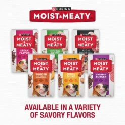 Moist & Meaty Steak Flavor Dry Dog Food -Cozy Paws 100208 PT6. AC SS1800 V1700157707