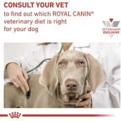 Royal Canin Veterinary Diet Adult Satiety Dog Treats 19 Royal Canin Veterinary Diet Adult Satiety Dog Treats -Cozy Paws 100471 PT8. AC SS1800 V1701982732