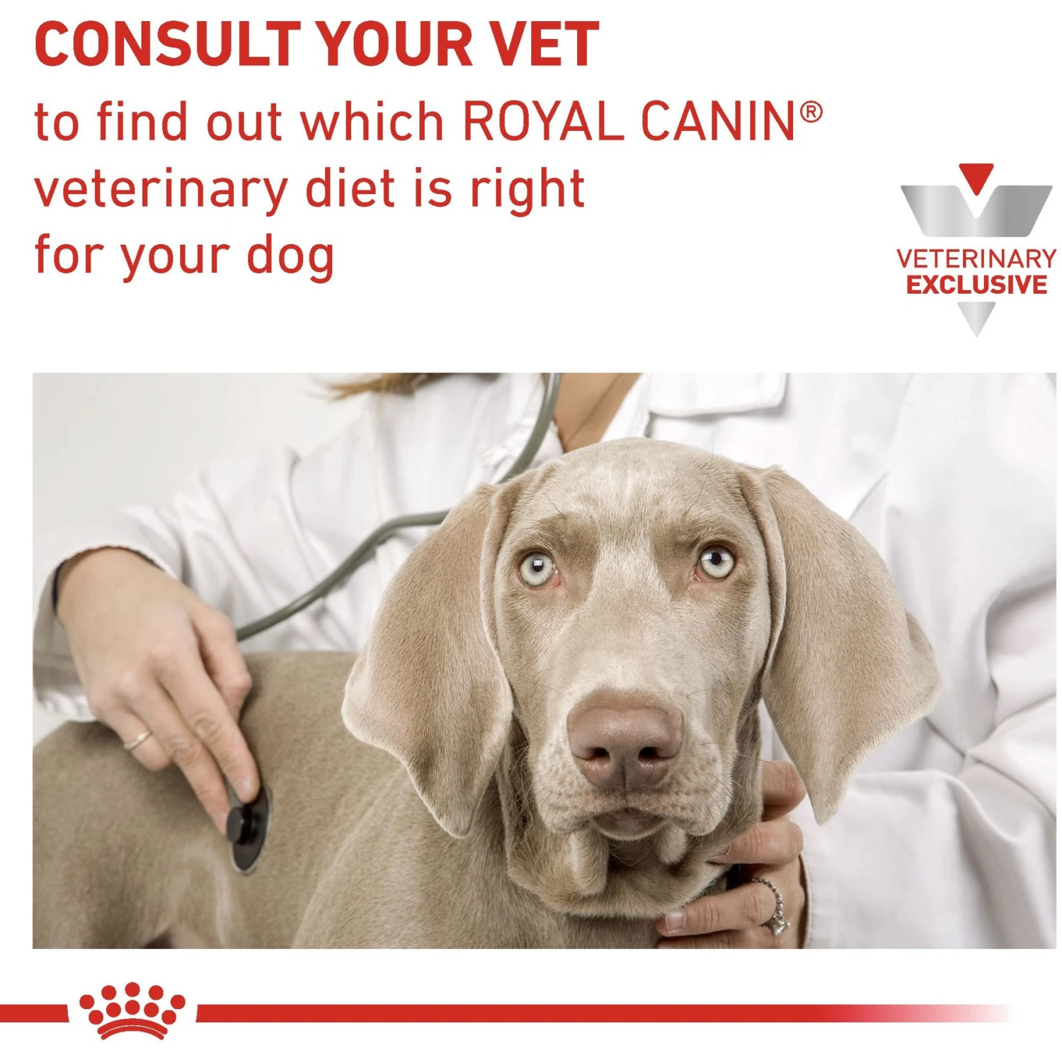 Royal Canin Veterinary Diet Adult Satiety Dog Treats 11 Royal Canin Veterinary Diet Adult Satiety Dog Treats - Image 9