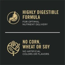 Purina Pro Plan Adult Sensitive Skin & Stomach Salmon & Rice Formula Dry Dog Food -Cozy Paws 101143 PT5. AC SS1800 V1701881166