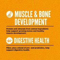 ORIJEN Puppy Grain-Free Dry Puppy Food -Cozy Paws 101290 PT4. AC SS1800 V1684432399