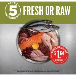 ORIJEN Senior Grain-Free Dry Dog Food -Cozy Paws 101299 PT3. AC SS1800 V1685631110