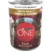 Purina ONE SmartBlend True Instinct Tender Cuts In Gravy With Real Turkey & Venison Canned Dog Food