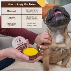 Natural Dog Company Skin Soother Dog Healing Balm & Natural Dog Company Itchy Dog Shampoo, 12-oz Bottle -Cozy Paws 1030102 PT4. AC SS1800 V1702674053