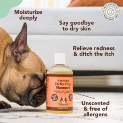 Natural Dog Company Skin Soother Dog Healing Balm & Natural Dog Company Itchy Dog Shampoo, 12-oz Bottle -Cozy Paws 1030102 PT8. AC SS1800 V1702674055