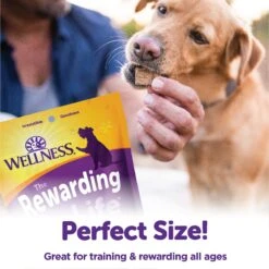 Wellness The Rewarding Life Lamb & Salmon Soft & Chewy Natural Dog Treats -Cozy Paws 104301 PT4. AC SS1800 V1646347053