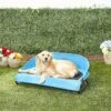 Gen7Pets Cool-Air Cot Elevated Dog Bed -Cozy Paws 105020 MAIN. AC SS1800 V1566323739