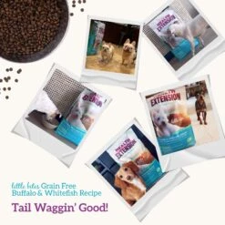 Health Extension Grain-Free Little Bites Buffalo & Whitefish Recipe Dry Dog Food -Cozy Paws 105297 PT7. AC SS1800 V1595690471