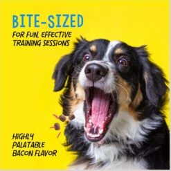 Crazy Dog Train-Me! Bacon Flavor Dog Treats -Cozy Paws 105765 PT4. AC SS1800 V1680811973