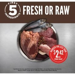 ORIJEN Regional Red Grain-Free Dry Dog Food -Cozy Paws 106513 PT3. AC SS1800 V1685629500