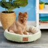 American Kennel Club AKC Casablanca Bolster Cat & Dog Bed -Cozy Paws 106537 MAIN. AC SS1800 V1566250321