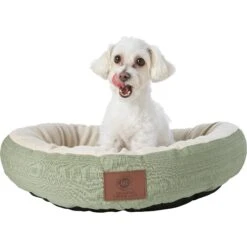 American Kennel Club AKC Casablanca Bolster Cat & Dog Bed -Cozy Paws 106537 PT5. AC SS1800 V1569517966