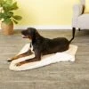 American Kennel Club AKC Micro Sherpa Dog & Cat Blanket -Cozy Paws 106549 MAIN. AC SS1800 V1566250447