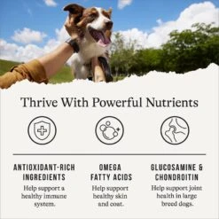 American Journey Large Breed Adult Chicken & Sweet Potato Recipe Grain-Free Dry Dog Food 15 American Journey Large Breed Adult Chicken & Sweet Potato Recipe Grain-Free Dry Dog Food -Cozy Paws 108414 PT4. AC SS1800 V1665684476