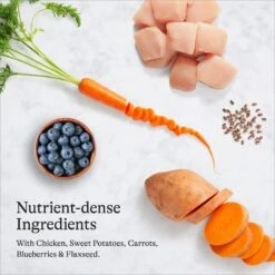 American Journey Large Breed Adult Chicken & Sweet Potato Recipe Grain-Free Dry Dog Food 16 American Journey Large Breed Adult Chicken & Sweet Potato Recipe Grain-Free Dry Dog Food -Cozy Paws 108414 PT5. AC SS1800 V1680545175