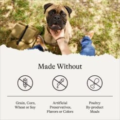 American Journey Large Breed Adult Chicken & Sweet Potato Recipe Grain-Free Dry Dog Food 17 American Journey Large Breed Adult Chicken & Sweet Potato Recipe Grain-Free Dry Dog Food -Cozy Paws 108414 PT6. AC SS1800 V1680545177