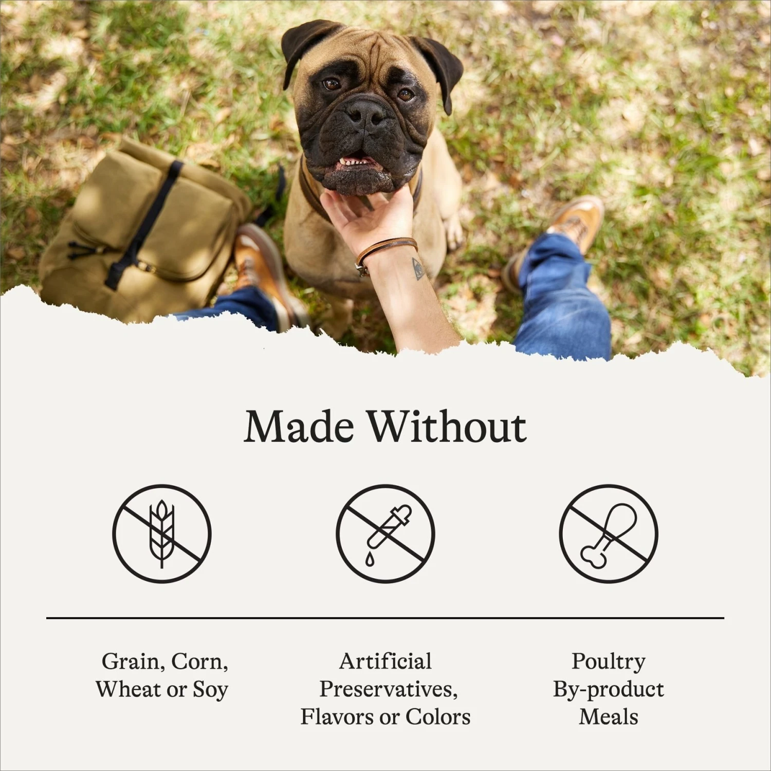 American Journey Large Breed Adult Chicken & Sweet Potato Recipe Grain-Free Dry Dog Food 9 American Journey Large Breed Adult Chicken & Sweet Potato Recipe Grain-Free Dry Dog Food - Image 7