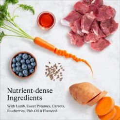 American Journey Lamb & Sweet Potato Recipe Grain-Free Dry Dog Food -Cozy Paws 108419 PT5. AC SS1800 V1680545177