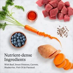 American Journey Beef & Sweet Potato Recipe Grain-Free Dry Dog Food -Cozy Paws 108427 PT5. AC SS1800 V1680545231