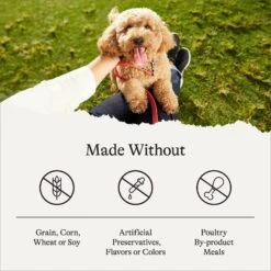 American Journey Puppy Lamb & Sweet Potato Recipe Grain-Free Dry Dog Food -Cozy Paws 108436 PT6. AC SS1800 V1680545234