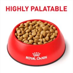 Royal Canin Veterinary Diet Adult Selected Protein PW Dry Dog Food -Cozy Paws 109136 PT2. AC SS1800 V1694465535