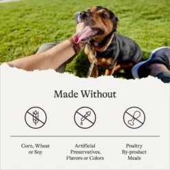 American Journey Protein & Grains Chicken, Brown Rice & Vegetables Recipe Dry Dog Food -Cozy Paws 109339 PT6. AC SS1800 V1680622725