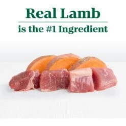 Nutro Limited Ingredient Diet Sensitive Support With Real Lamb & Sweet Potato Grain-Free Adult Dry Dog Food 18 Nutro Limited Ingredient Diet Sensitive Support With Real Lamb & Sweet Potato Grain-Free Adult Dry Dog Food -Cozy Paws 109395 PT7. AC SS1800 V1702666831