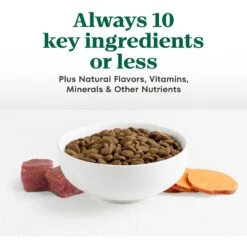 Nutro Limited Ingredient Diet Sensitive Support With Real Lamb & Sweet Potato Grain-Free Large Breed Adult Dry Dog Food -Cozy Paws 109402 PT3. AC SS1800 V1702666825