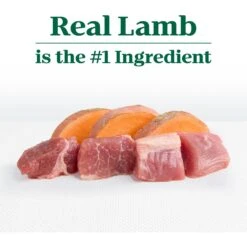 Nutro Limited Ingredient Diet Sensitive Support With Real Lamb & Sweet Potato Grain-Free Large Breed Adult Dry Dog Food -Cozy Paws 109402 PT7. AC SS1800 V1702666895