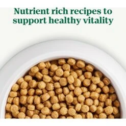 Nutro Natural Choice Small Bites Adult Chicken & Brown Rice Recipe Dry Dog Food -Cozy Paws 109418 PT8. AC SS1800 V1691418446