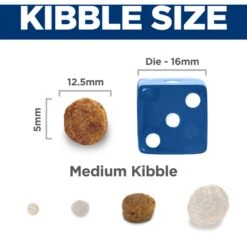 Hill's Science Diet Adult 7+ Senior Vitality Chicken Recipe Dry Dog Food -Cozy Paws 109487 PT6. AC SS1800 V1597964459