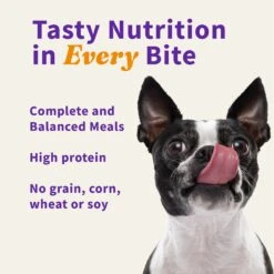 Halo Meal Bites Beef Recipe Raw Freeze-Dried Dog Food -Cozy Paws 110163 PT5. AC SS1800 V1657655132