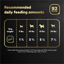 Cesar Home Delights T-Bone Steak, Egg & Cheese Flavor With Potatoes In Sauce Small Breed Adult Wet Dog Food Trays -Cozy Paws 110516 PT6. AC SS1800 V1695662243