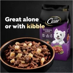 Cesar Home Delights T-Bone Steak, Egg & Cheese Flavor With Potatoes In Sauce Small Breed Adult Wet Dog Food Trays -Cozy Paws 110516 PT7. AC SS1800 V1695738867
