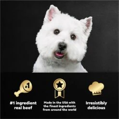 Cesar Home Delights T-Bone Steak, Egg & Cheese Flavor With Potatoes In Sauce Small Breed Adult Wet Dog Food Trays -Cozy Paws 110516 PT8. AC SS1800 V1695752280