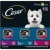 Cesar Filets In Gravy Beef Flavors Variety Pack Small Breed Adult Wet Dog Food -Cozy Paws 110539 MAIN. AC SS1800 V1695650018