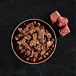 Cesar Filets In Gravy Beef Flavors Variety Pack Small Breed Adult Wet Dog Food -Cozy Paws 110539 PT3. AC SS1800 V1695674693