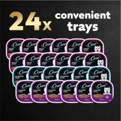 Cesar Filets In Gravy Beef Flavors Variety Pack Small Breed Adult Wet Dog Food -Cozy Paws 110539 PT7. AC SS1800 V1695746024