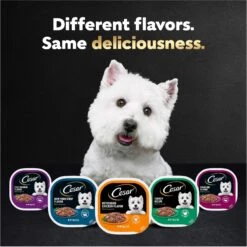 Cesar Filets In Gravy Beef Flavors Variety Pack Small Breed Adult Wet Dog Food -Cozy Paws 110539 PT8. AC SS1800 V1695674572