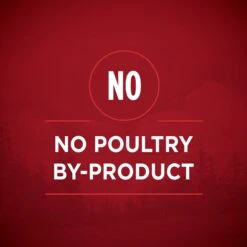 Purina ONE SmartBlend True Instinct Tender Cuts In Gravy Variety Pack Canned Dog Food -Cozy Paws 111092 PT3. AC SS1800 V1671734929