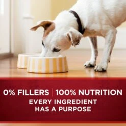 Purina ONE SmartBlend True Instinct Tender Cuts In Gravy Variety Pack Canned Dog Food -Cozy Paws 111092 PT8. AC SS1800 V1671734992