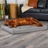 FurHaven NAP Ultra Plush Orthopedic Deluxe Cat & Dog Bed With Removable Cover -Cozy Paws 111417 MAIN. AC SS1800 V1689185892