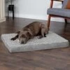 FurHaven NAP Deluxe Memory Foam Pillow Dog Bed With Removable Cover -Cozy Paws 111424 MAIN. AC SS1800 V1693926807