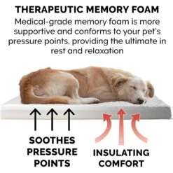 FurHaven NAP Deluxe Memory Foam Pillow Dog Bed With Removable Cover -Cozy Paws 111424 PT4. AC SS1800 V1693601263