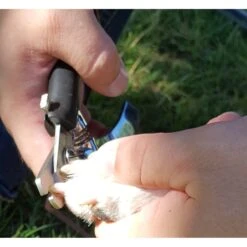 Resco Pro Series Plier Style Nail Clippers -Cozy Paws 112401 PT2. AC SS1800 V1490986364