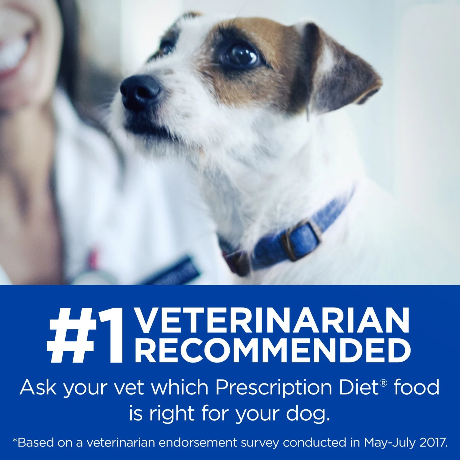 Hill's Prescription Diet Soft Baked Soft & Chewy Dog Treats 10 Hill's Prescription Diet Soft Baked Soft & Chewy Dog Treats - Image 8