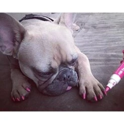 Warren London Pawdicure Dog Nail Polish Pen -Cozy Paws 112698 PT6. AC SS1800 V1660706026